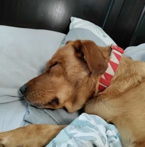 Meet your Posher, Tonya